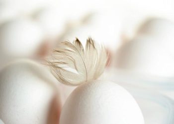 Easter Brunch Ideas: From Eggs to Hot Cross Buns
