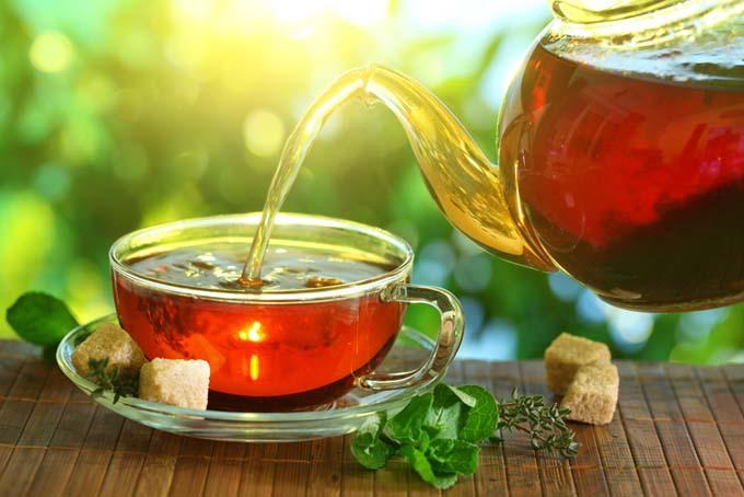 Tips for Brewing the Perfect Cup of Tea