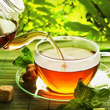 Types of Tea: A Guide to the Many Varieties