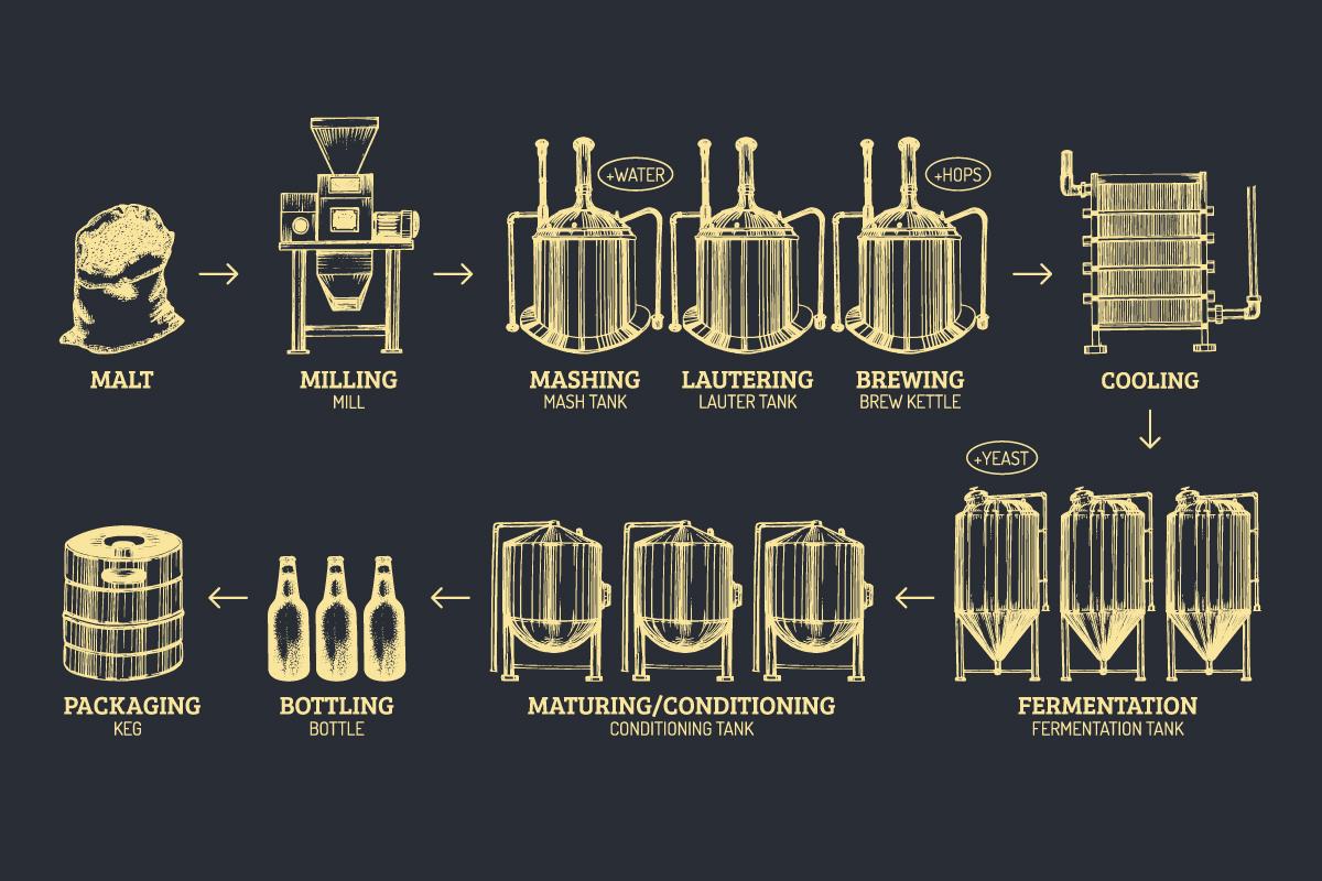 Following the Brewing Process Step by Step