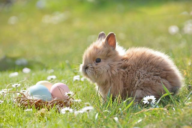 Easter Brunch: a Celebration of Spring Flavors