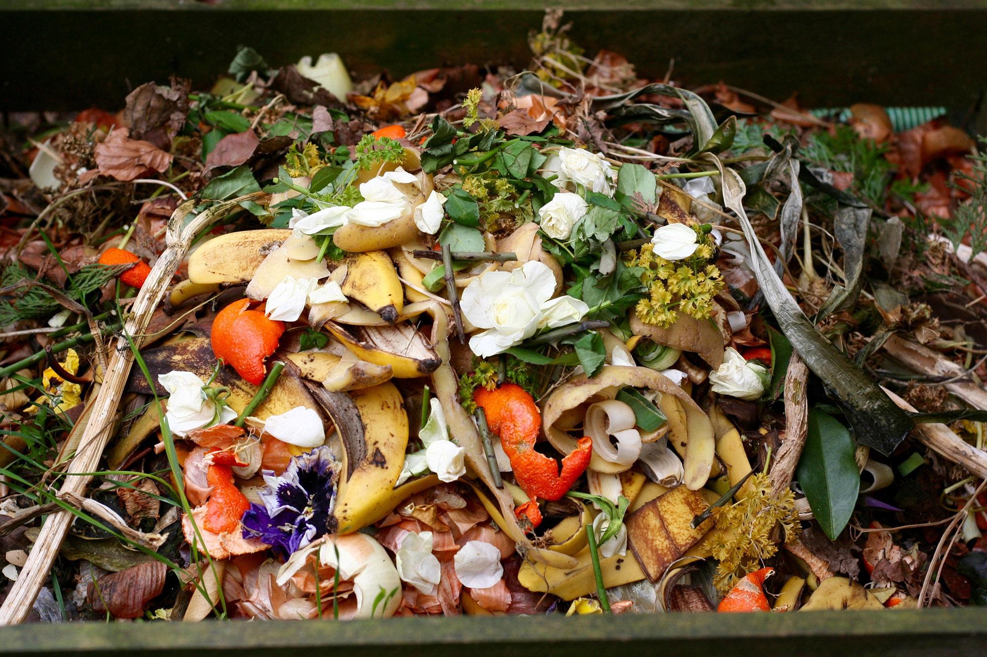 Reducing Food Waste in Fine Dining Establishments